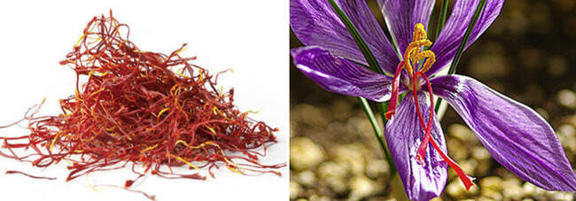 Шафран / Saffron