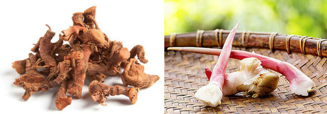 Калган / Galangal