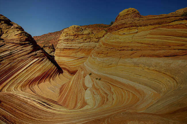 Разноцветные волны / Coyote Buttes, Аризона, США
