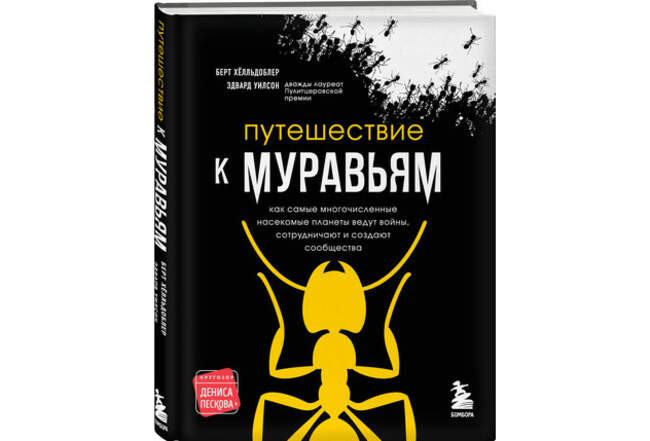 Неуловимые притворщики