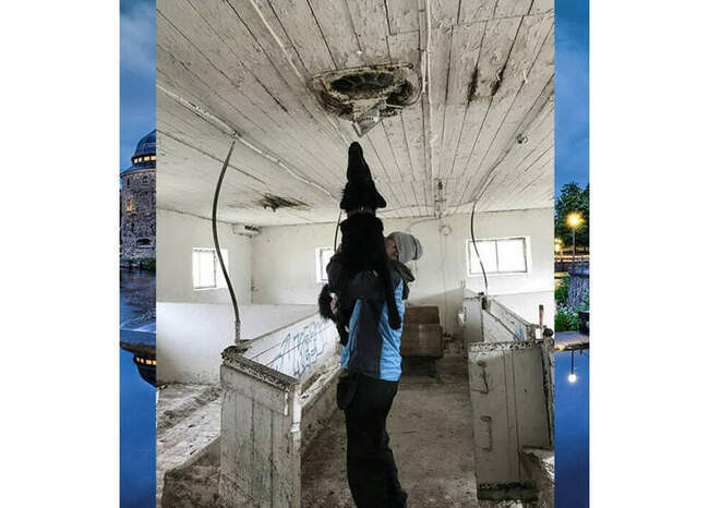 История Принца