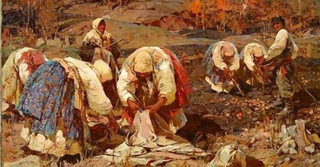 Ядовитый картофель и бешеные ягоды томаты