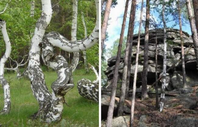 Чертово логово