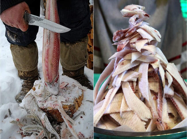 Строганина, загутай, расколотка и другие – сырое мясо и рыба