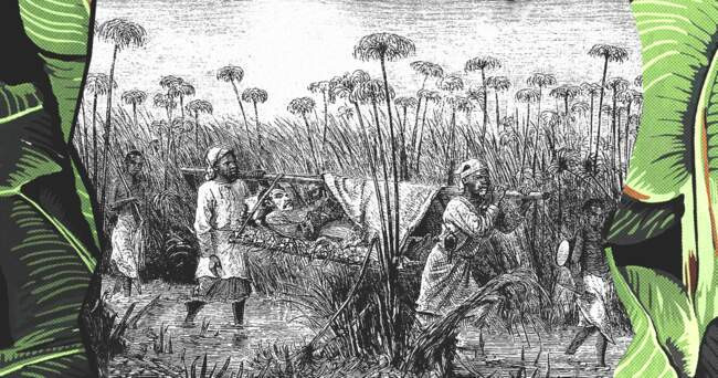 Третья экспедиция Давида Ливингстона в Африку (1866-1873)