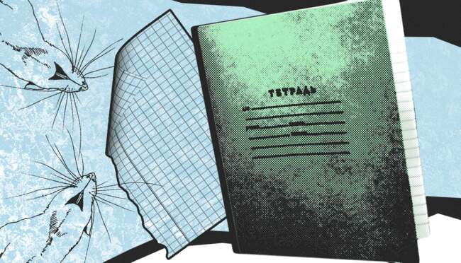 Поля на листах тетрадей