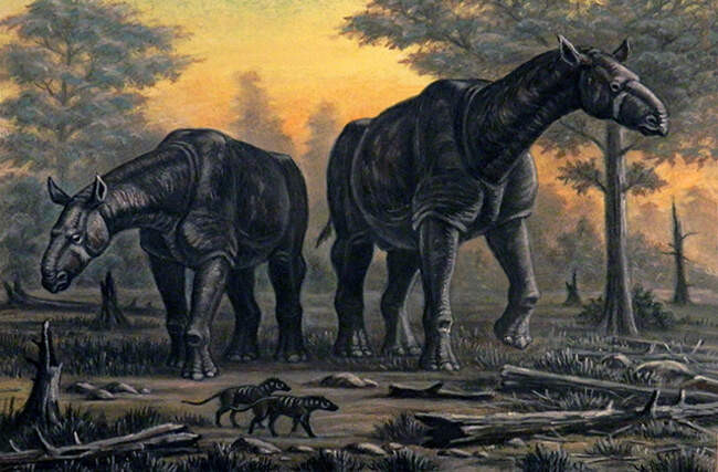 Парацератерий (paraceratherium). Самый крупный из когда-либо существовавших наземных млекопитающих