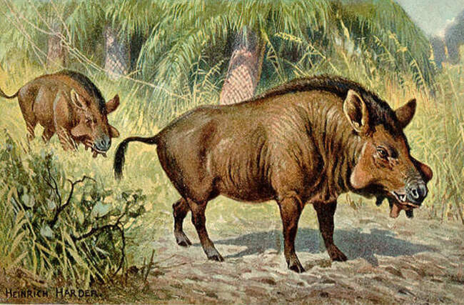 Энтелодон (entelodon). Очень страшный
