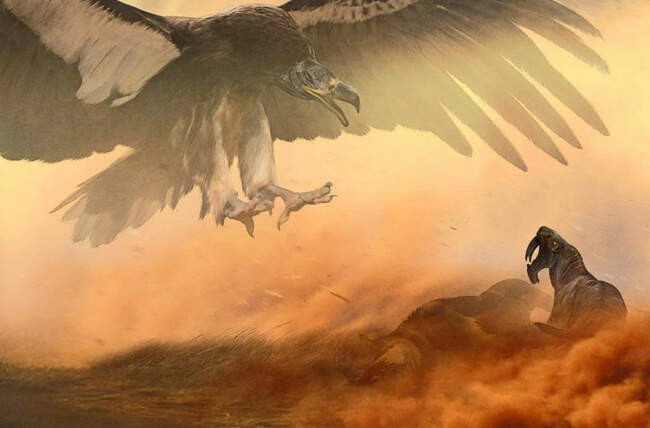Аргентавис (argentavis). Самая большая летающая птица, когда-либо существовавшая на нашей планете