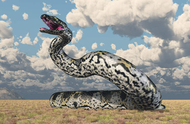 Титанобоа (titanoboa). Гигантская змея