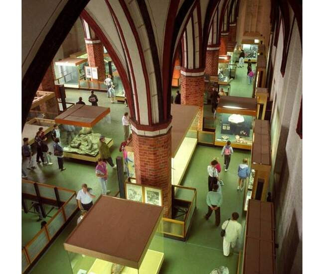 5. Meeres Museum (Штральзунд, Германия)
