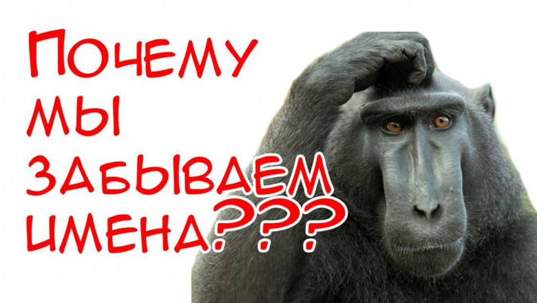 Почему иногда мы не можем вспомнить имена знакомых?