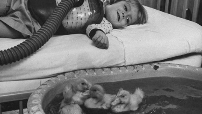 35 редких исторических снимков, которые ярко отражают революционные моменты своего времени