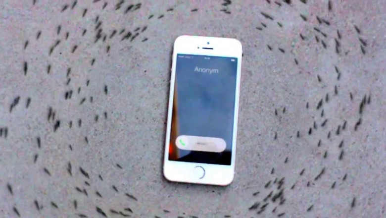 Муравьиный хоровод-круговорот или ритуальный танец вокруг iPhone
