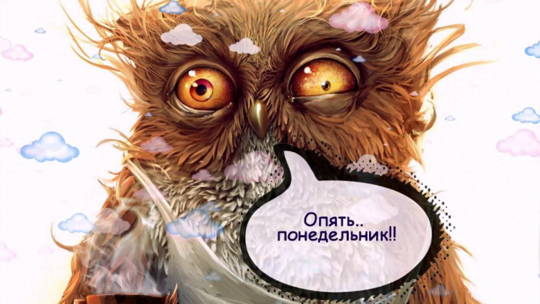 Считаете, что понедельник день тяжелый и вы его ненавидите? Есть обратное мнение