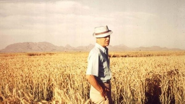 «Отец Зеленой революции»: история американского селекционера Нормана Борлоуга, который спас миллиарды человеческих жизней