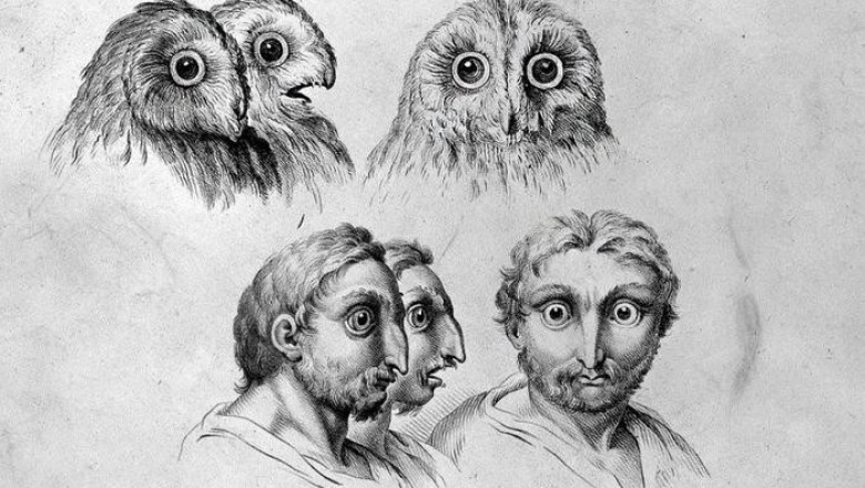 Эскизы XVII века от Чарльза ле Брюнома, который сравнивает лица людей с животными