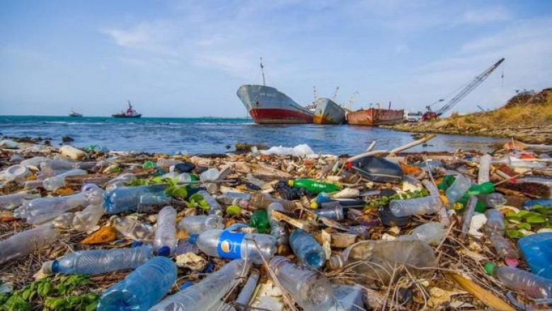 Пугающие прогнозы от ученых: к 2050 году в море будет пластика больше, чем рыбы!