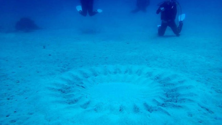 История таинственных кругов под водой