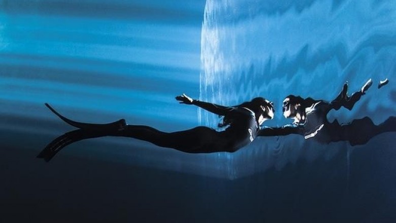 Жюри конкурса «Through Your Lens» определились с лучшими подводными фотографиями