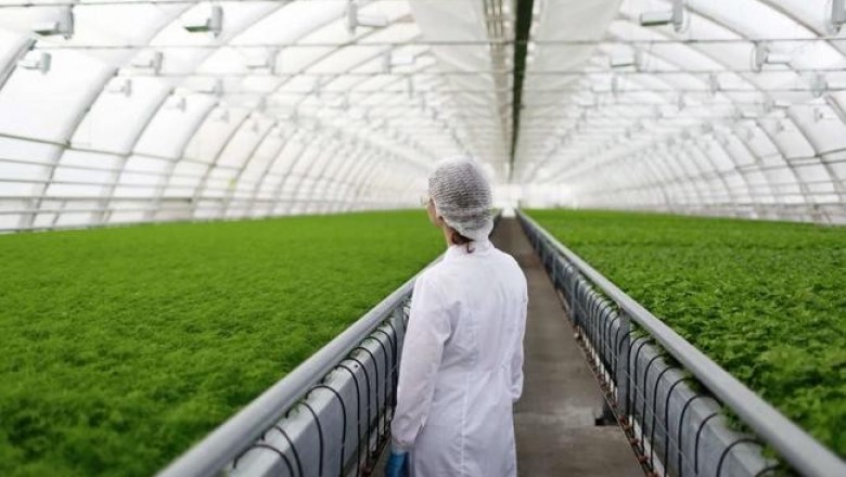 Что скрывают производители пищевых продуктов от потребителя?