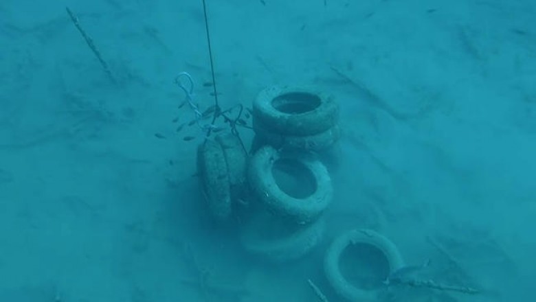 Со дна Средиземного моря убирают тысячи покрышек, которые когда-то были сброшены с целью создания искусственного рифа