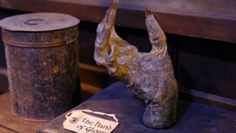 Рука славы: история средневекового артефакта из ладони висельника, который якобы обладал магическими свойствами