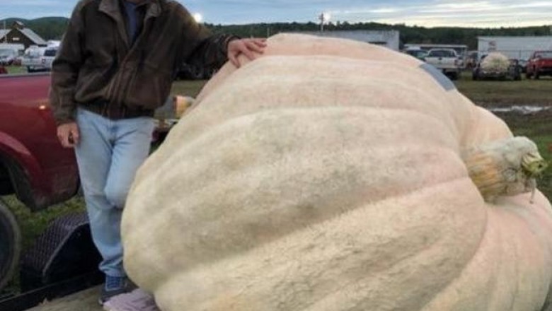 На сельскохозяйственной ярмарке Deerfield Fair тыква весом в тонну стала крупнейшей в истории Америки