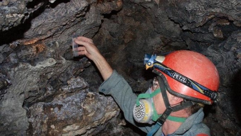 По мнению ученых, 70 процентов бактерий на планете живут под землей