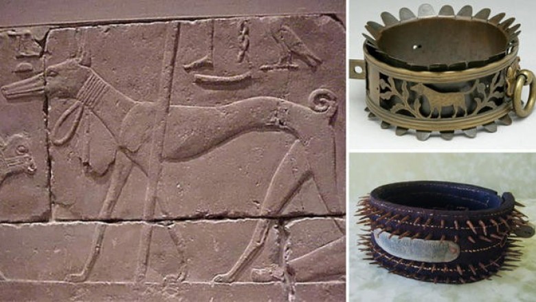 Шипы, замки и бриллианты: история собачьих ошейников от Древнего Египта до наших дней