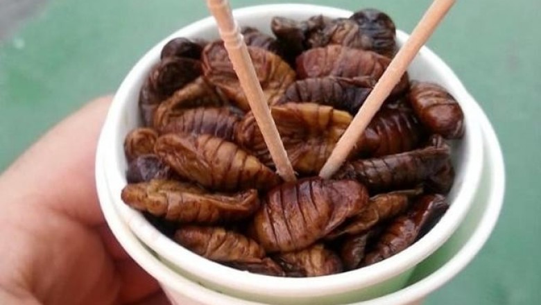 Сверчки, скорпионы и другие съедобные насекомые из разных стран мира