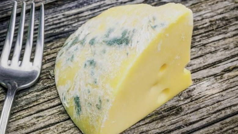 Почему некоторые заплесневелые продукты - это деликатесы, а другие - яд и какие есть можно, а какие нет