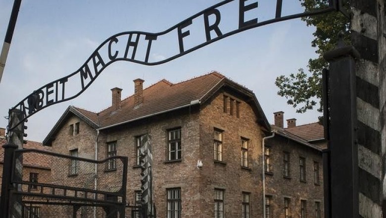 Еврейка нацистский информатор, любовь эсэсовца и узницы и другие малоизвестные факты из жизни заключенных Освенцима