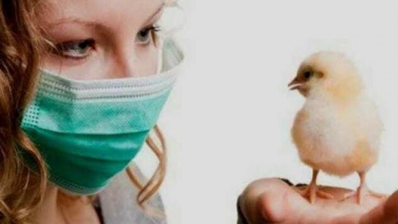 Оспа лошадей, птичий грипп и другие опасные вирусы, которые были созданы учеными