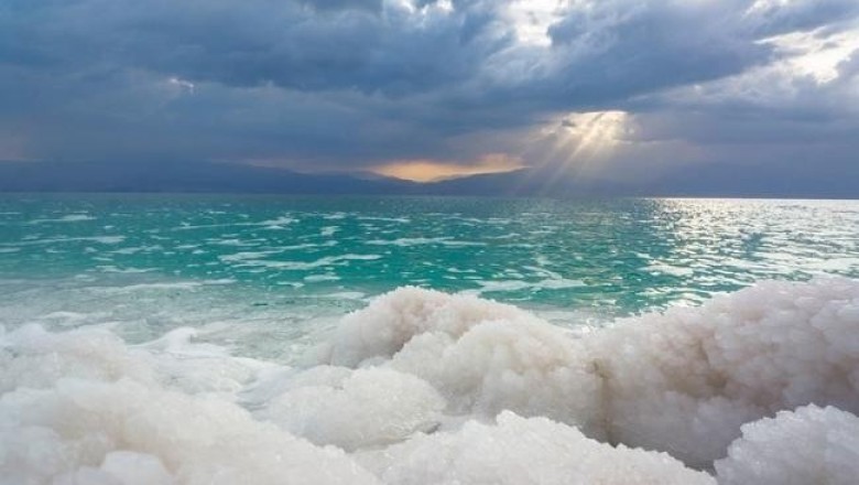 Мертвое море не мертвое: ученые нашли доказательства существования жизни