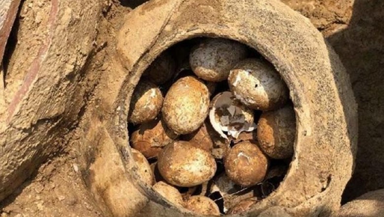 Археологи в Китае обнаружили 2500-летние яйца, использовавшиеся в древнем погребальном обряде