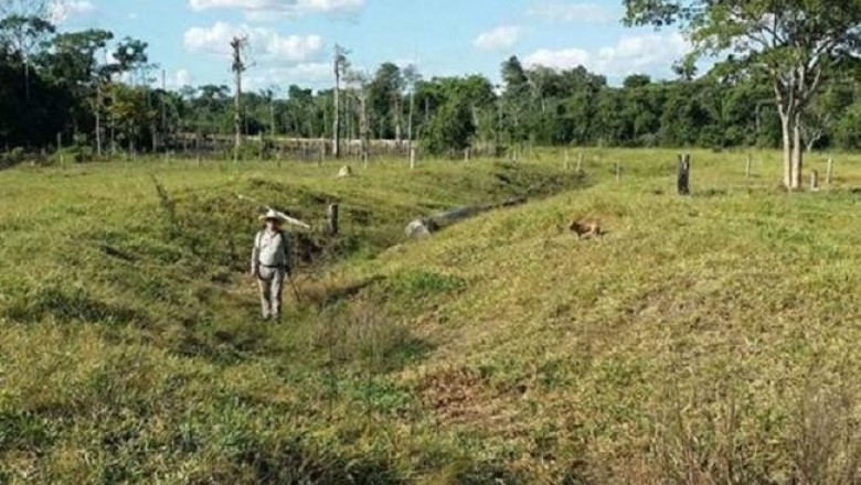 Ученые рассказали, кто жил в доколумбовой Амазонии