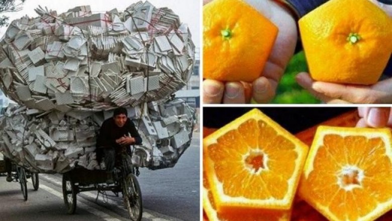 Бассейны для ног, чипсы со вкусом вишни и другие обыденные азиатские вещи, которые кажутся безумными европейцам