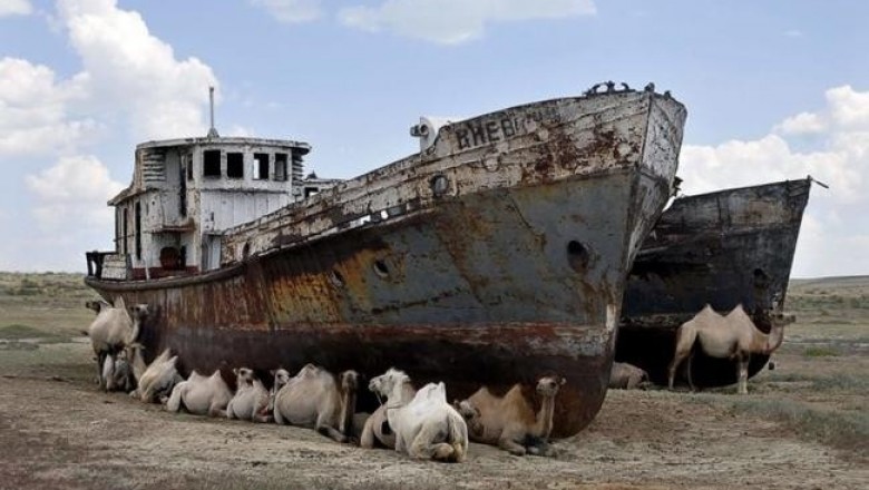 Аральское море: как живет сегодня крупнейшее когда-то в мире озеро, которое принесли в жертву хлопку