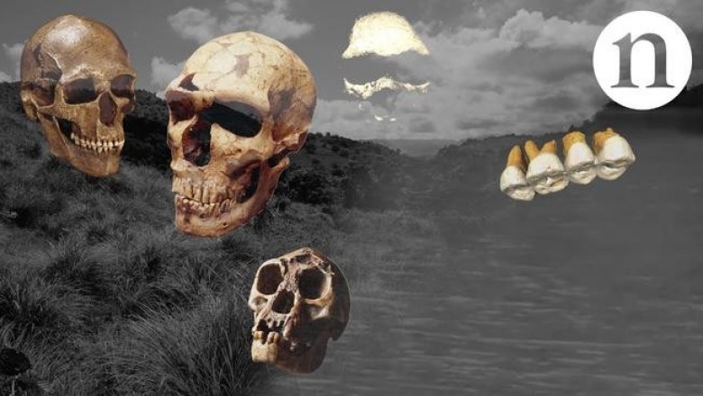 Homo luzonensis: на Филиппинах обнаружен новый вид людей