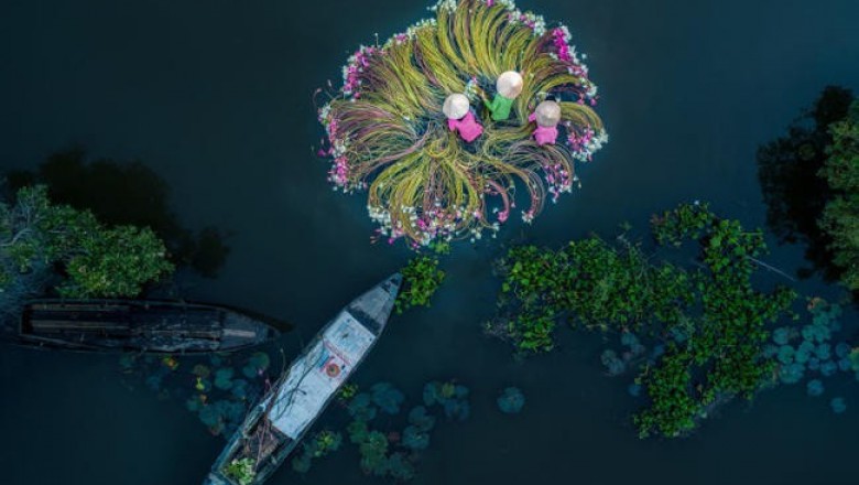 Лучших снимки с конкурсу аэрофотографии SkyPixel 2018: мир с высоты птичьего полета