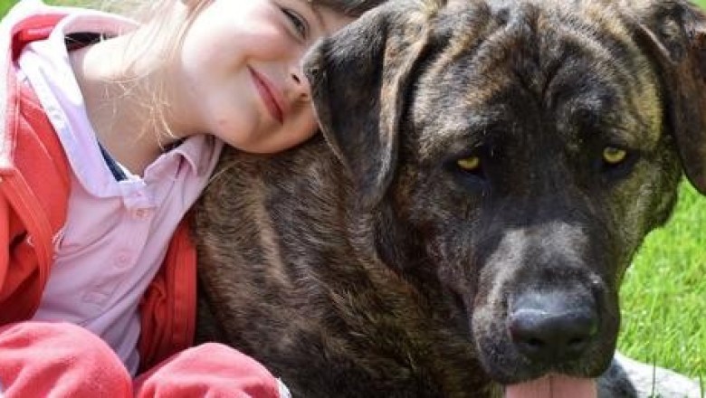 Лихорадка Западного Нила, чума и другие страшные болезни, которые можно подцепить от животных