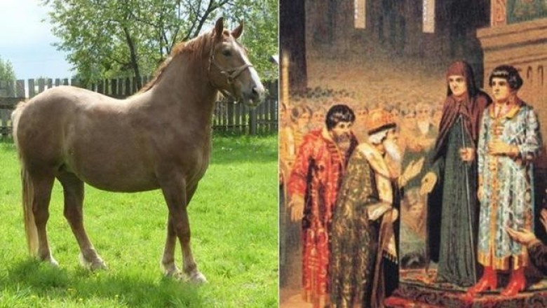 Что означают русские фамилии, образованные от названий растений, животных, птиц и насекомых