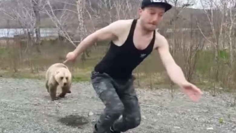 На Камчатке медведь погнался за туристом