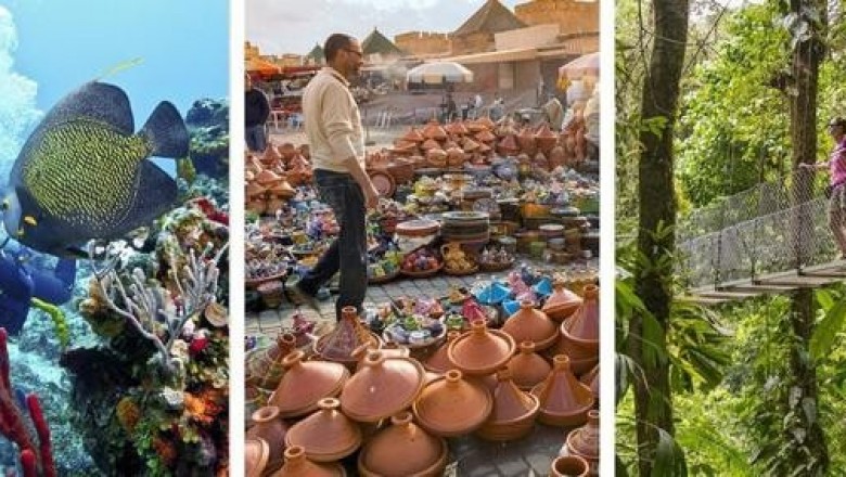 Мекнес, Косумель, Медельин и другие лучшие места для путешествия в 2019 году