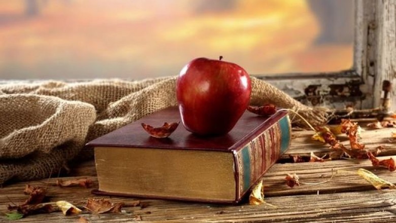 «Белая роза, Черный лес», «Ноктэ» и другие увлекательные книги о запретных чувствах
