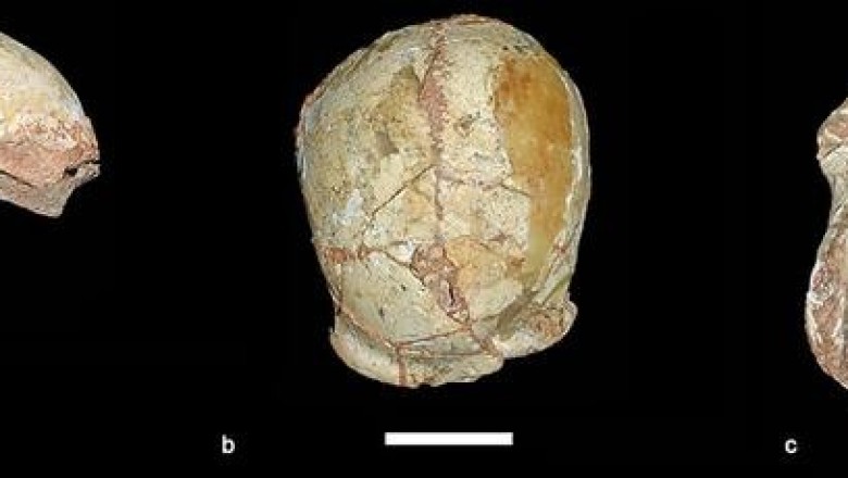 Ученые выяснили, что в Евразии Homo sapiens появился гораздо раньше, чем считалось