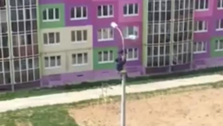 В Чебоксарах мужчина забрался на фонарный столб, чтобы спасти ворону