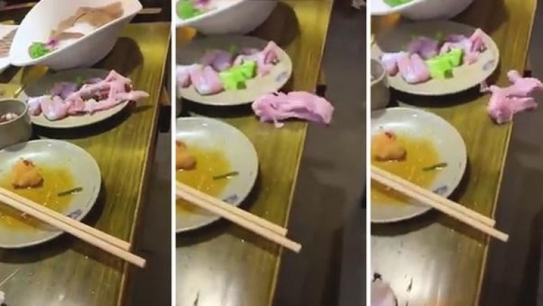 Как куриная грудка сбежала со стола: зомби или розыгрыш?