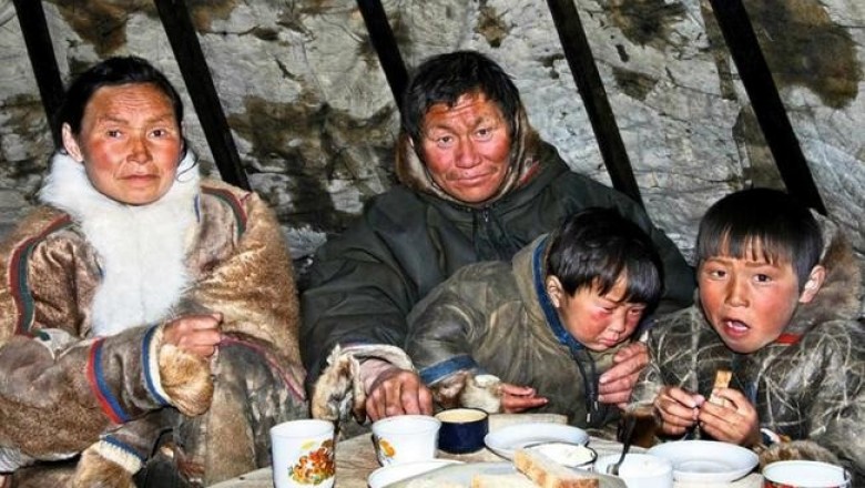Кухня коренных народов Севера: почему они не употребляли в пищу грибы?